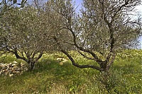 Crete_2016_159_ji.jpg