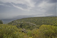 Dateiname=Crete_2016_167_ji.jpg
Dateigröße=588KB
Abmessungen: 1600x1068
hinzugefügt am: 25. Januar 2020 Crete_2016_167_ji.jpg
