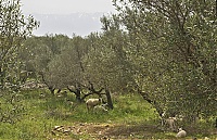 Crete_2016_191_ji.jpg