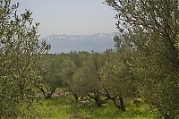 Crete_2016_192_ji.jpg