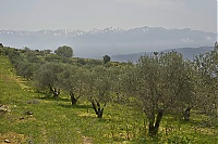 Crete_2016_195_ji.jpg