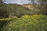 Crete_2016_202_ji.jpg