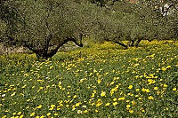 Crete_2016_203_ji.jpg