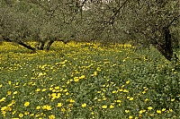 Dateiname=Crete_2016_204_ji.jpg
Dateigröße=1196KB
Abmessungen: 1600x1068
hinzugefügt am: 25. Januar 2020 Crete_2016_204_ji.jpg