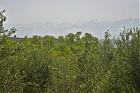 Crete_2016_205_ji.jpg