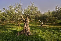 Crete_2016_209_ji.jpg