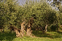 Crete_2016_210_ji.jpg