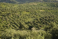 Crete_2016_222_ji.jpg