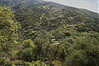 Crete_2016_226_ji.jpg