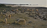 Dateiname=Crete_2016_233_ji.jpg
Dateigröße=547KB
Abmessungen: 1600x944
hinzugefügt am: 25. Januar 2020 Crete_2016_233_ji.jpg