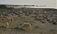 Crete_2016_233_ji.jpg