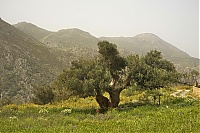 Crete_2016_282_ji.jpg