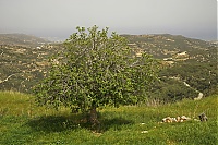 Crete_2016_288_ji.jpg