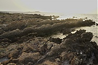 Dateiname=Crete_2016_295_ji.jpg
Dateigröße=612KB
Abmessungen: 1600x1068
hinzugefügt am: 25. Januar 2020 Crete_2016_295_ji.jpg
