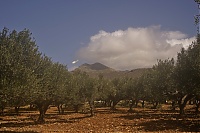 Crete_2016_545_ji.jpg