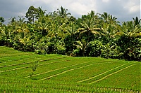 Dateiname=2016_11_Bali_002_ji.jpg
Dateigröße=1050KB
Abmessungen: 1600x1068
hinzugefügt am: 25. Januar 2020 2016_11_Bali_002_ji.jpg