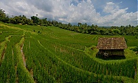 2016_11_Bali_006-009_ji.jpg