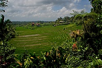 2016_11_Bali_048_ji.jpg