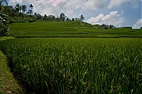 2016_11_Bali_065_ji.jpg