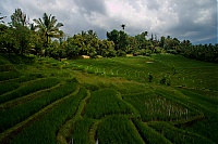 2016_11_Bali_068_ji.jpg