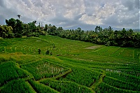 2016_11_Bali_069_ji.jpg