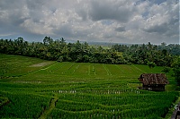 2016_11_Bali_070_ji.jpg