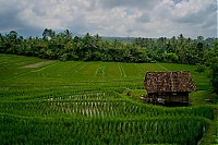 2016_11_Bali_071_ji.jpg