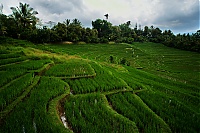 2016_11_Bali_073_ji.jpg