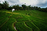 Dateiname=2016_11_Bali_073a_ji.jpg
Dateigröße=784KB
Abmessungen: 1600x1068
hinzugefügt am: 25. Januar 2020 2016_11_Bali_073a_ji.jpg