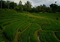 2016_11_Bali_074_ji.jpg