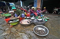 2017_02_Vietnam_064_DaNang_ji.jpg