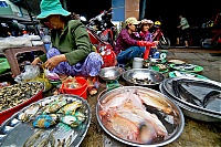 2017_02_Vietnam_066_DaNang_ji.jpg