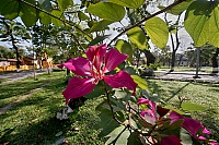 Dateiname=2017_02_Vietnam_107_Hue_Imperial_ji.jpg
Dateigröße=675KB
Abmessungen: 1600x1068
hinzugefügt am: 25. Januar 2020 2017_02_Vietnam_107_Hue_Imperial_ji.jpg