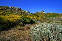 Dateiname=2017_05_Sardinien_001_ji.jpg
Dateigröße=1003KB
Abmessungen: 1600x1068
hinzugefügt am: 28. Dezember 2020 2017_05_Sardinien_001_ji.jpg