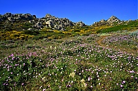 2017_05_Sardinien_002_ji.jpg