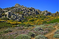 2017_05_Sardinien_003_ji.jpg