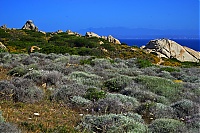 Dateiname=2017_05_Sardinien_004_ji.jpg
Dateigröße=943KB
Abmessungen: 1600x1068
hinzugefügt am: 28. Dezember 2020 2017_05_Sardinien_004_ji.jpg