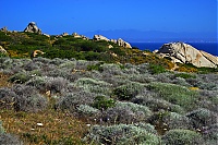 2017_05_Sardinien_004_ji.jpg