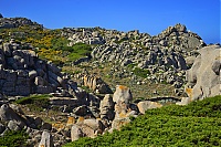 2017_05_Sardinien_006_ji.jpg