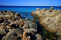 2017_05_Sardinien_070_ji.jpg