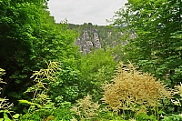 Elbsandsteingebirge_012_ji.jpg