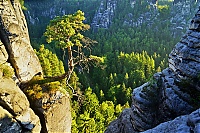 Elbsandsteingebirge_064_ji.jpg