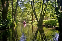 Spreewald_15_ji.jpg