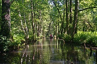 Spreewald_17_ji.jpg