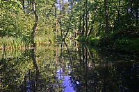 Spreewald_18_ji.jpg