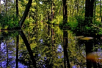 Spreewald_19_ji.jpg