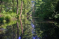 Spreewald_20_ji.jpg