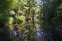 Dateiname=Spreewald_21_ji.jpg
Dateigröße=995KB
Abmessungen: 1600x1068
hinzugefügt am: 28. Dezember 2020 Spreewald_21_ji.jpg