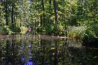 Spreewald_22_ji.jpg