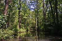 Spreewald_23_ji.jpg